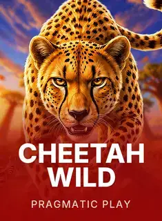 Cheetah Wild